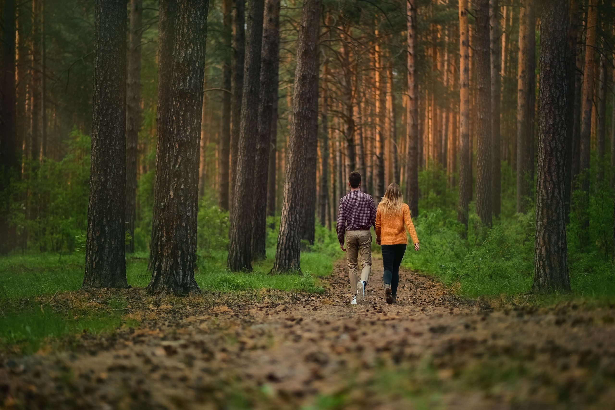 Walk and chill out in the woods